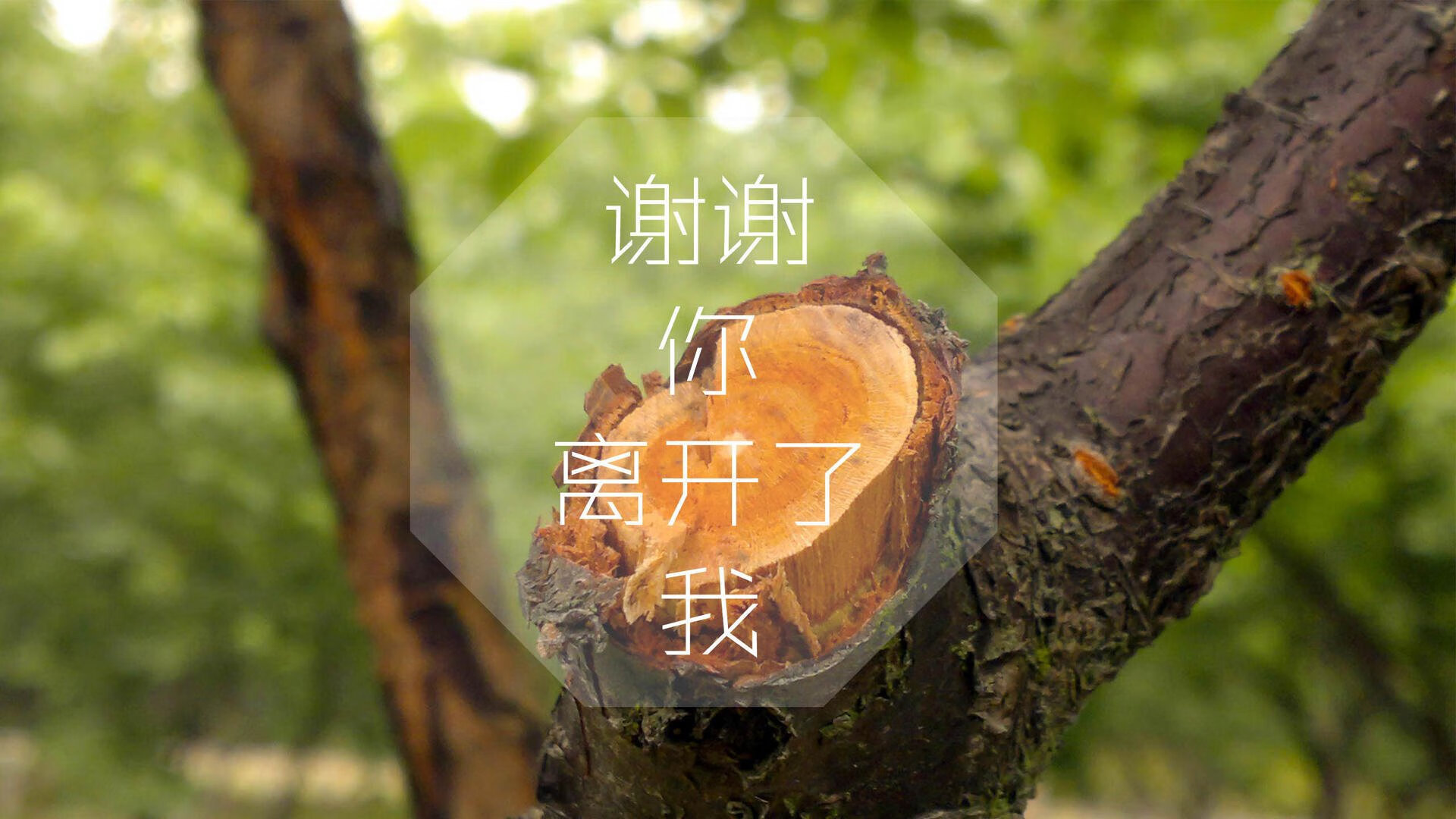 激烈争夺：两队各显神通，但北京最终笑到最后！