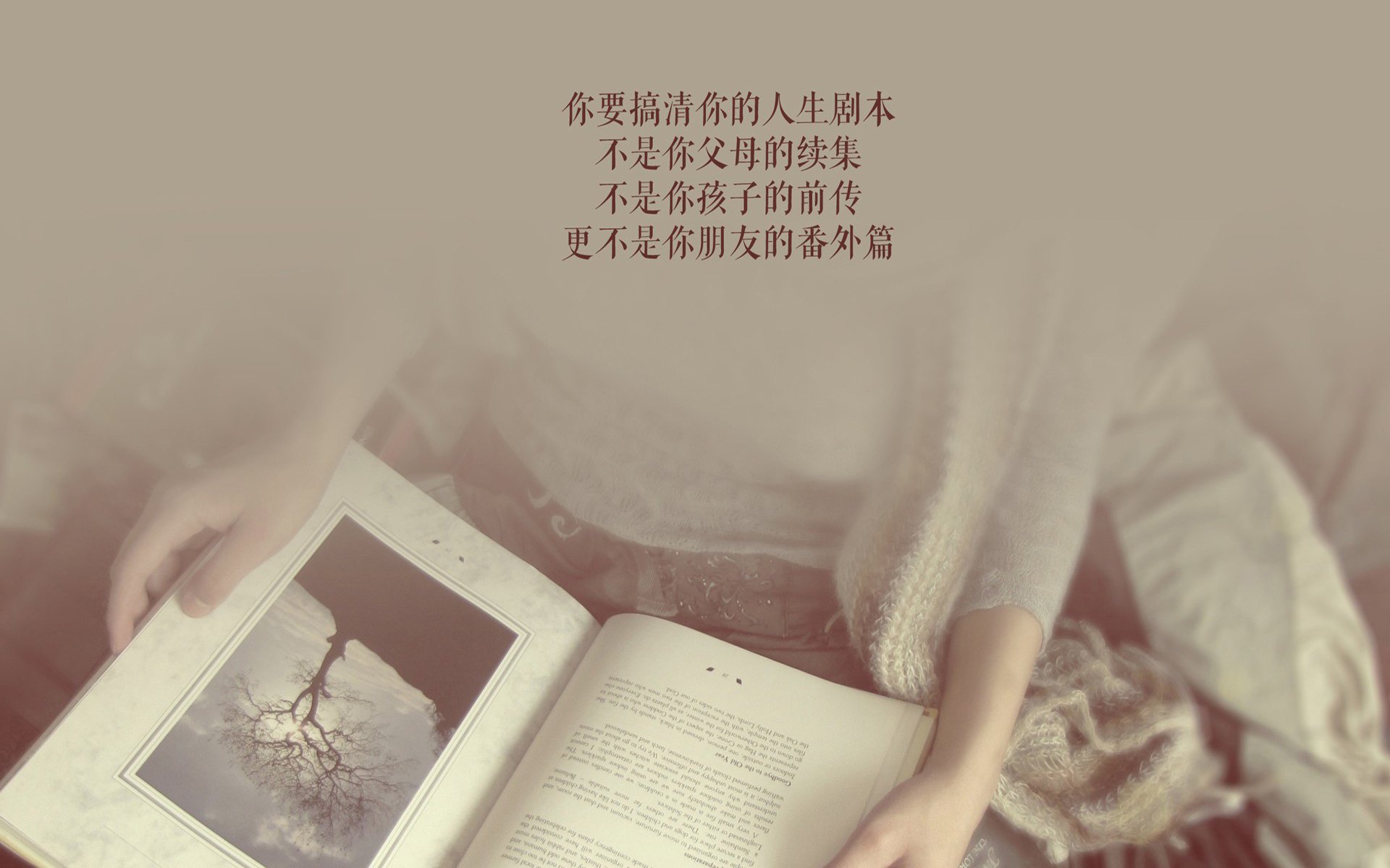 篮球运动员竞技压力识别与调节机制研究，篮球运动员竞技能力结构模型
