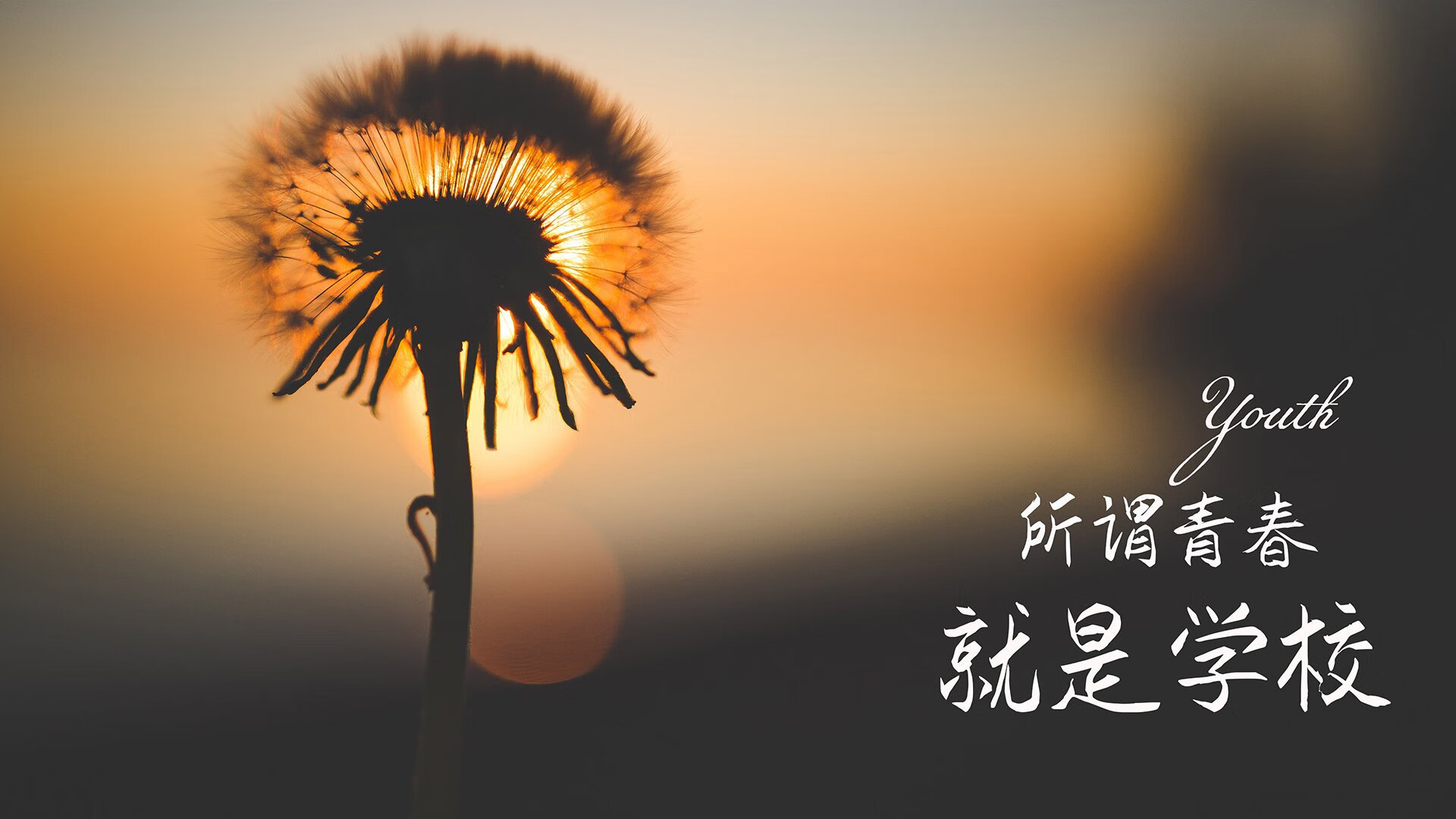 “高新体育中心：羽毛球选手演绎极限技巧与团队协作”