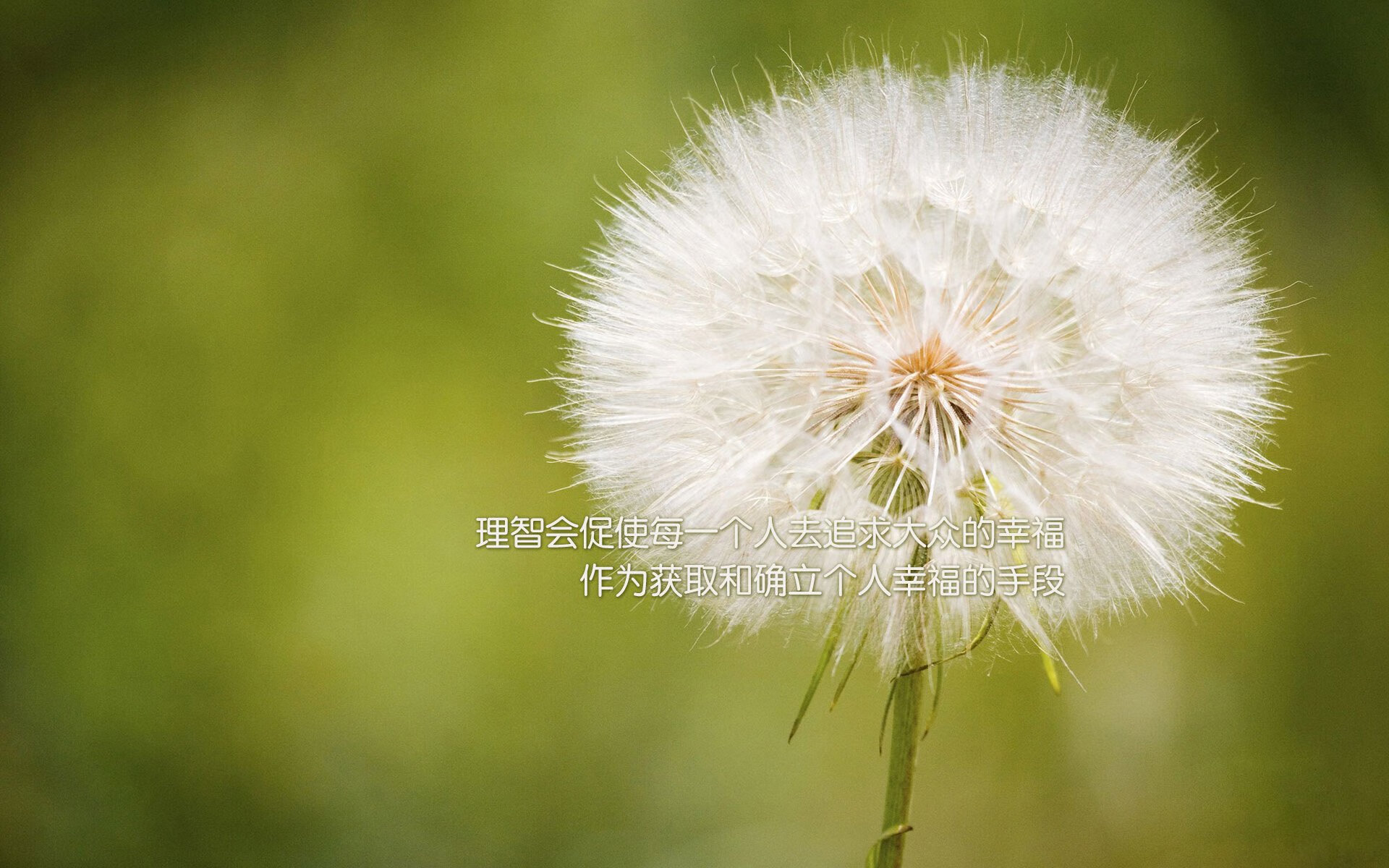 搏击赛前动员大会引导选手关注心理安全，搏击比赛赛前准备