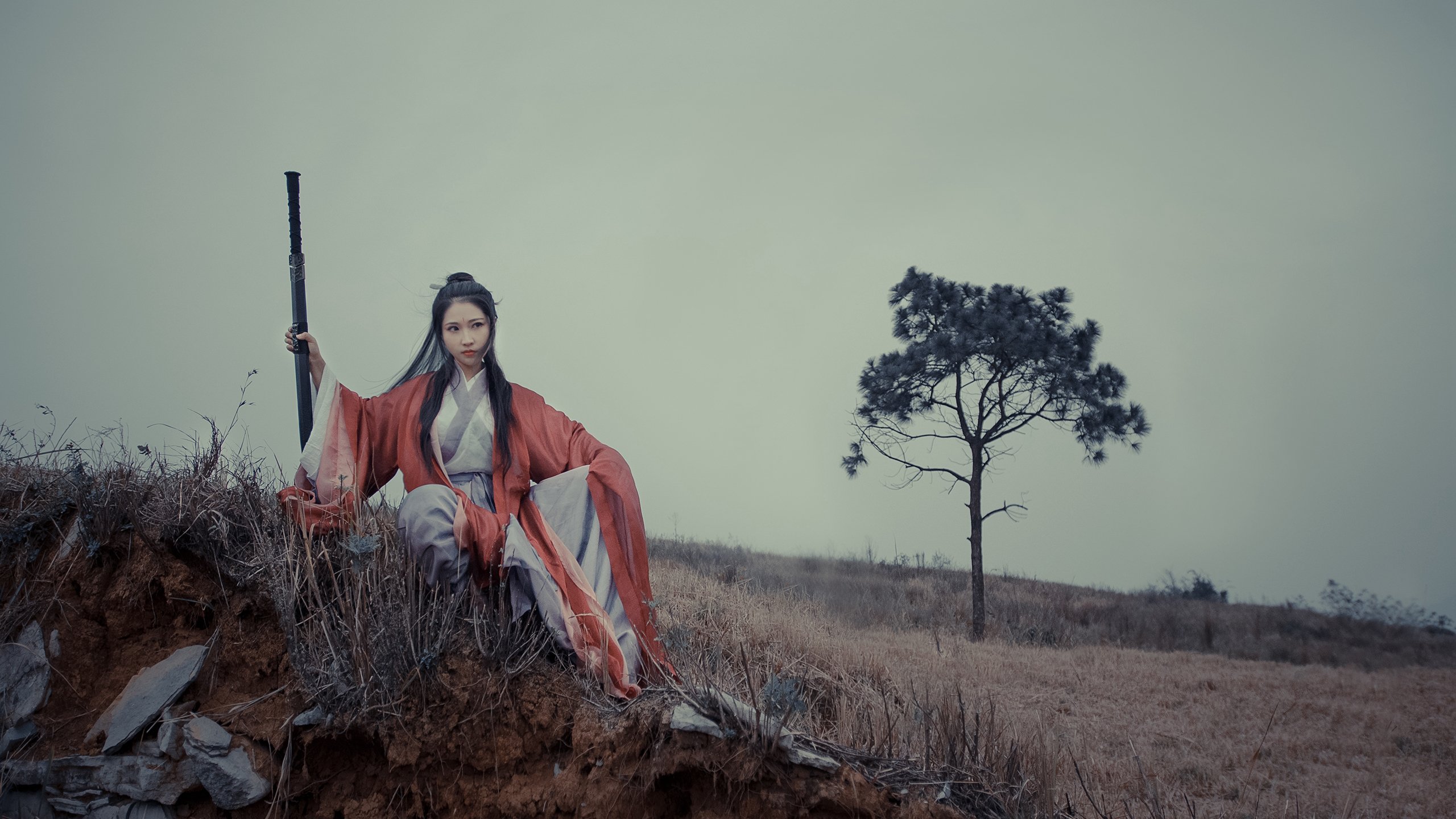 波兰队赛制解析：如何通过精准的战术调整赢得关键比赛，波兰队阵型