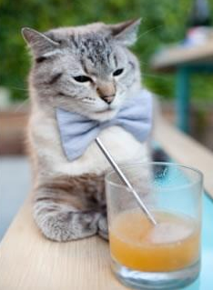 爱游戏官方网站-中国男篮加强与职业联赛联动提升训练质量，2021年中国男篮训练视频