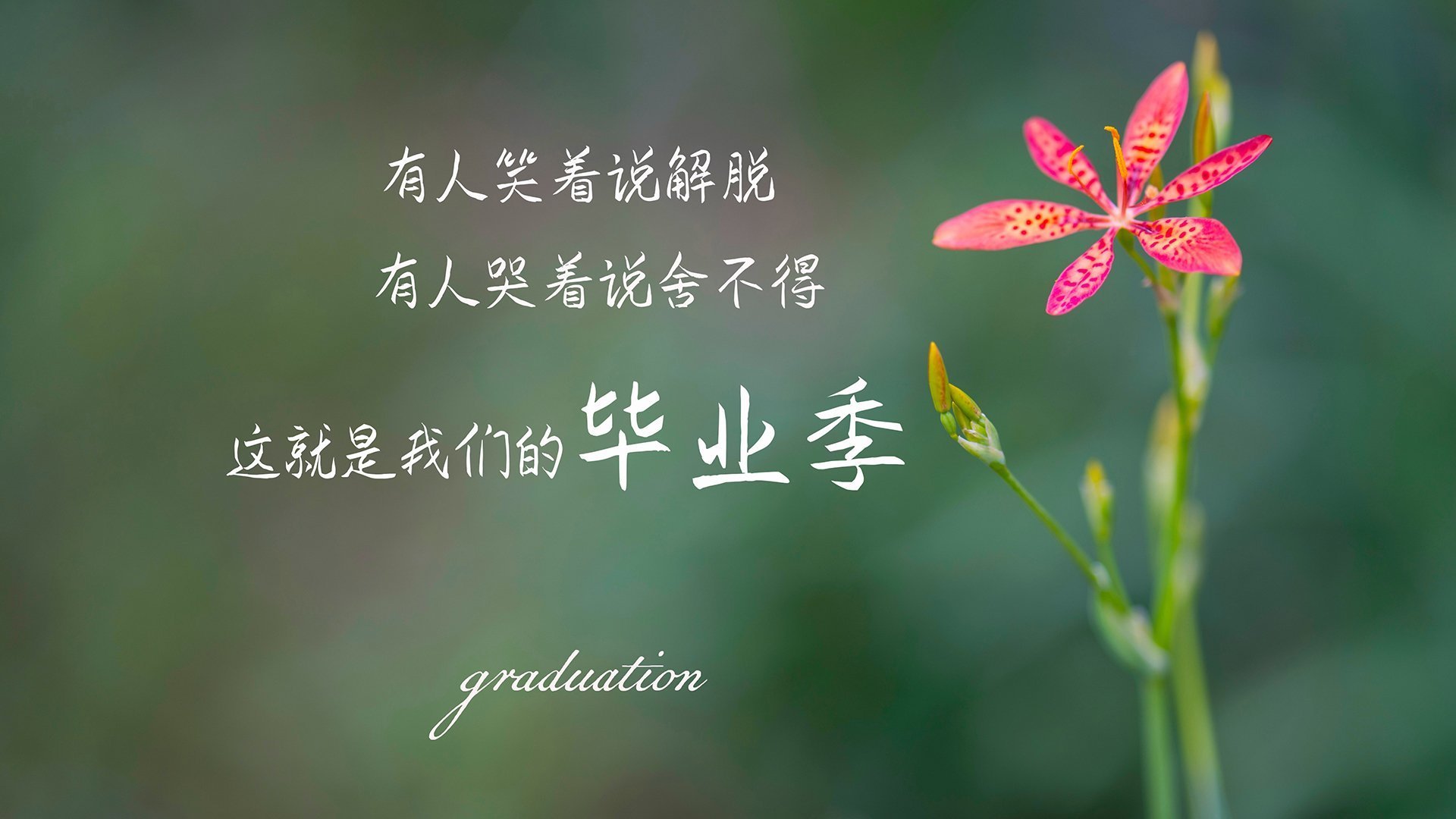 中超联赛引入更多本土教练打造中国特色战术体系,中超来过哪些著名教练