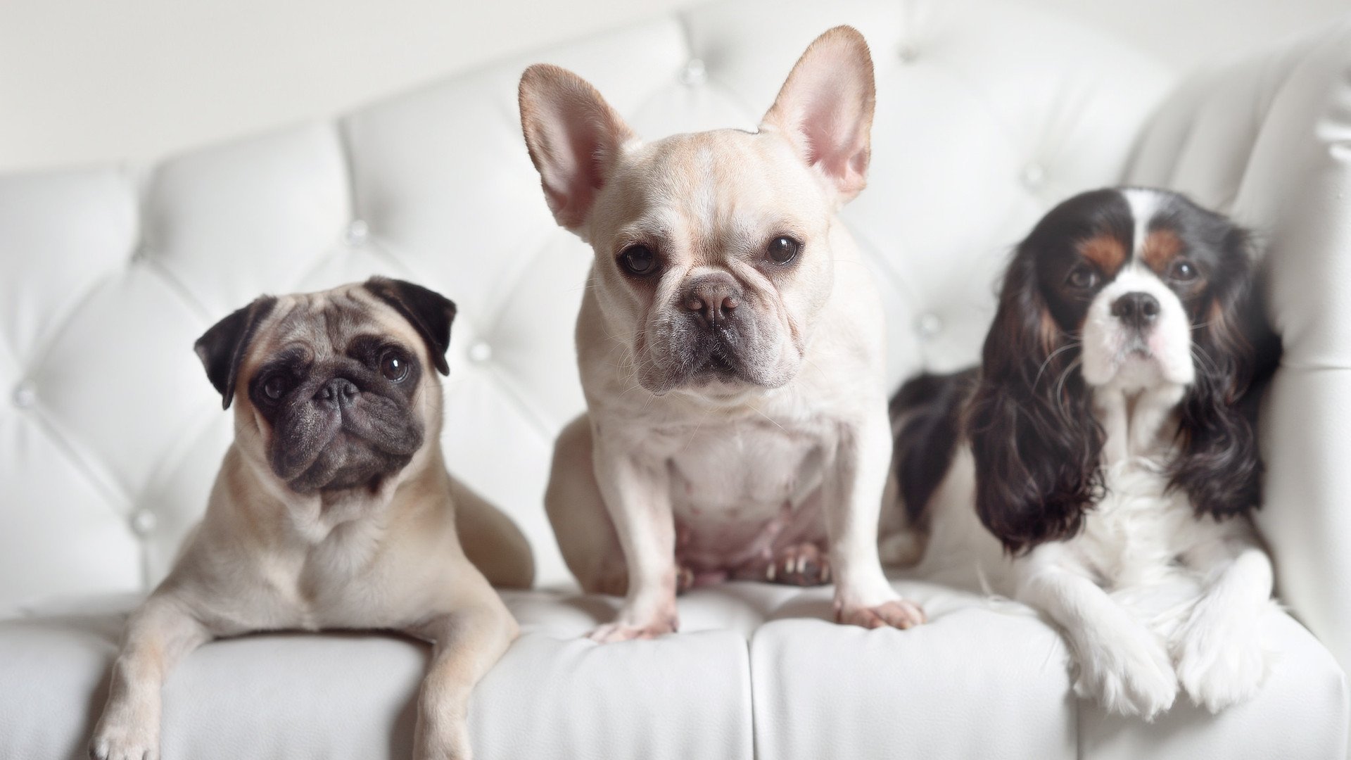 奥运会男篮预选赛轮番上演，各国球队力争奥运门票，奥运会男子篮球预选赛
