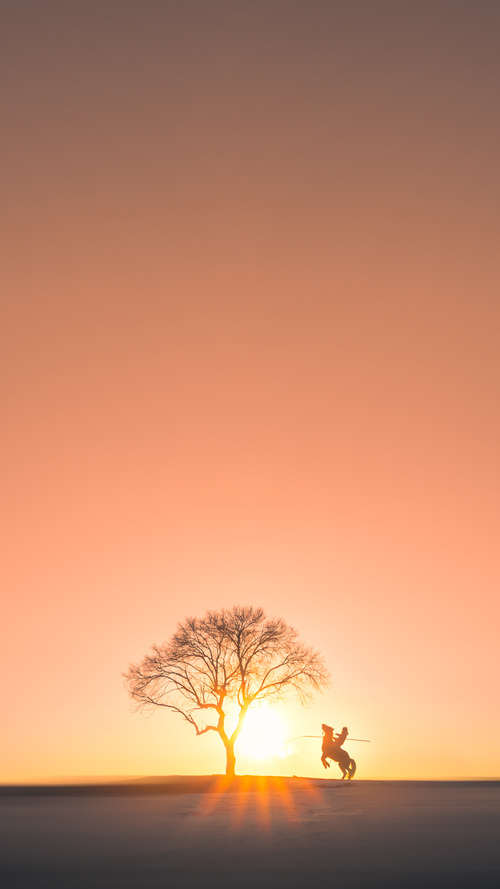 AYX GAME-法国队稳步晋级混合接力决赛，法国队重赛