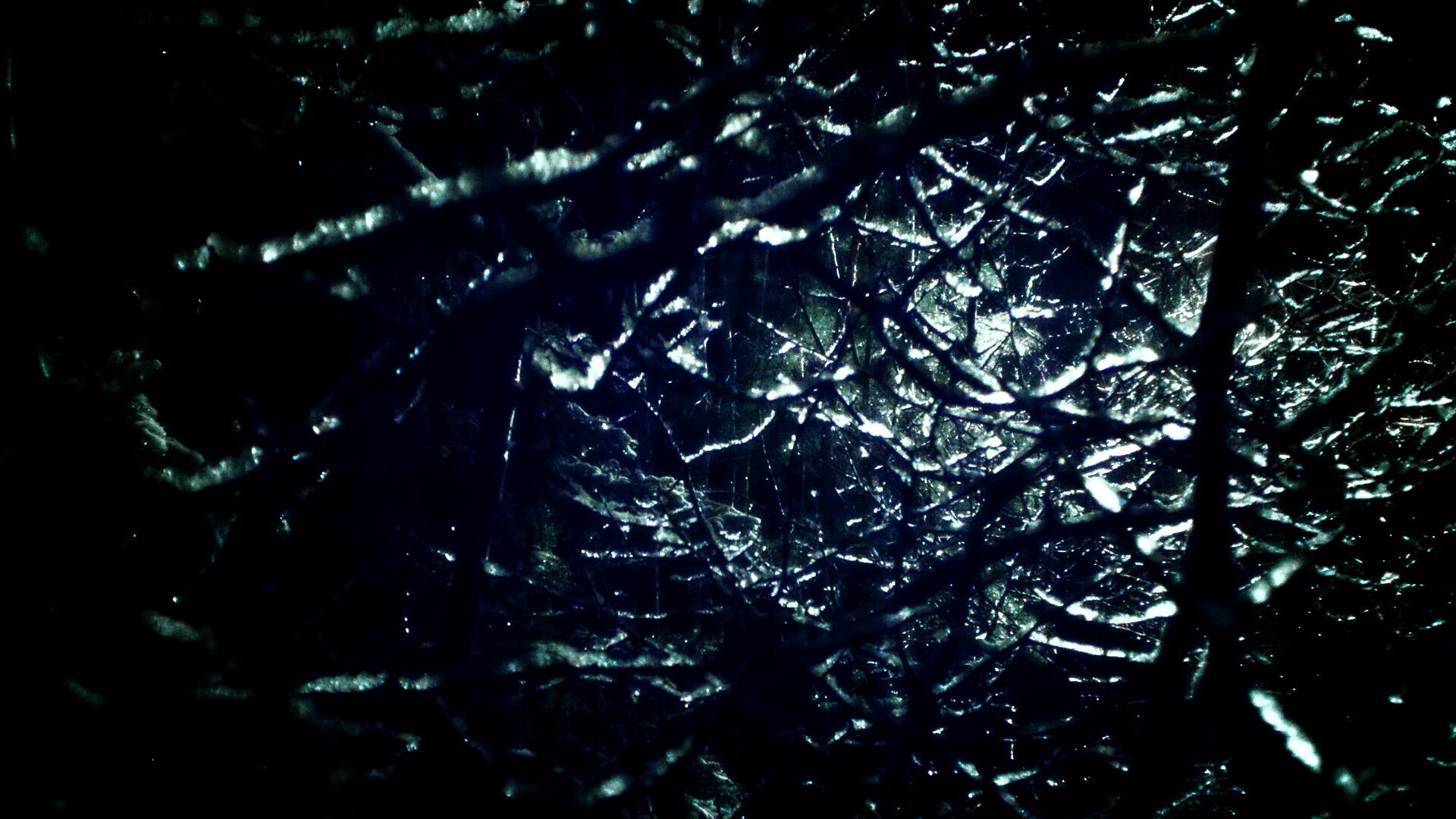 爱游戏体育（AYX）官方APP下载-澳大利亚橄榄球青训与国际接轨，全球发展潜力巨大，澳大利亚橄榄球介绍