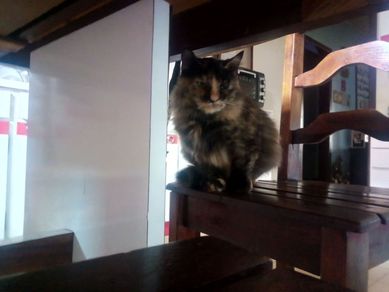 爱游戏中国官方登录入口网站-热火球员赛后谈团队化学反应改善，热火队伍球员