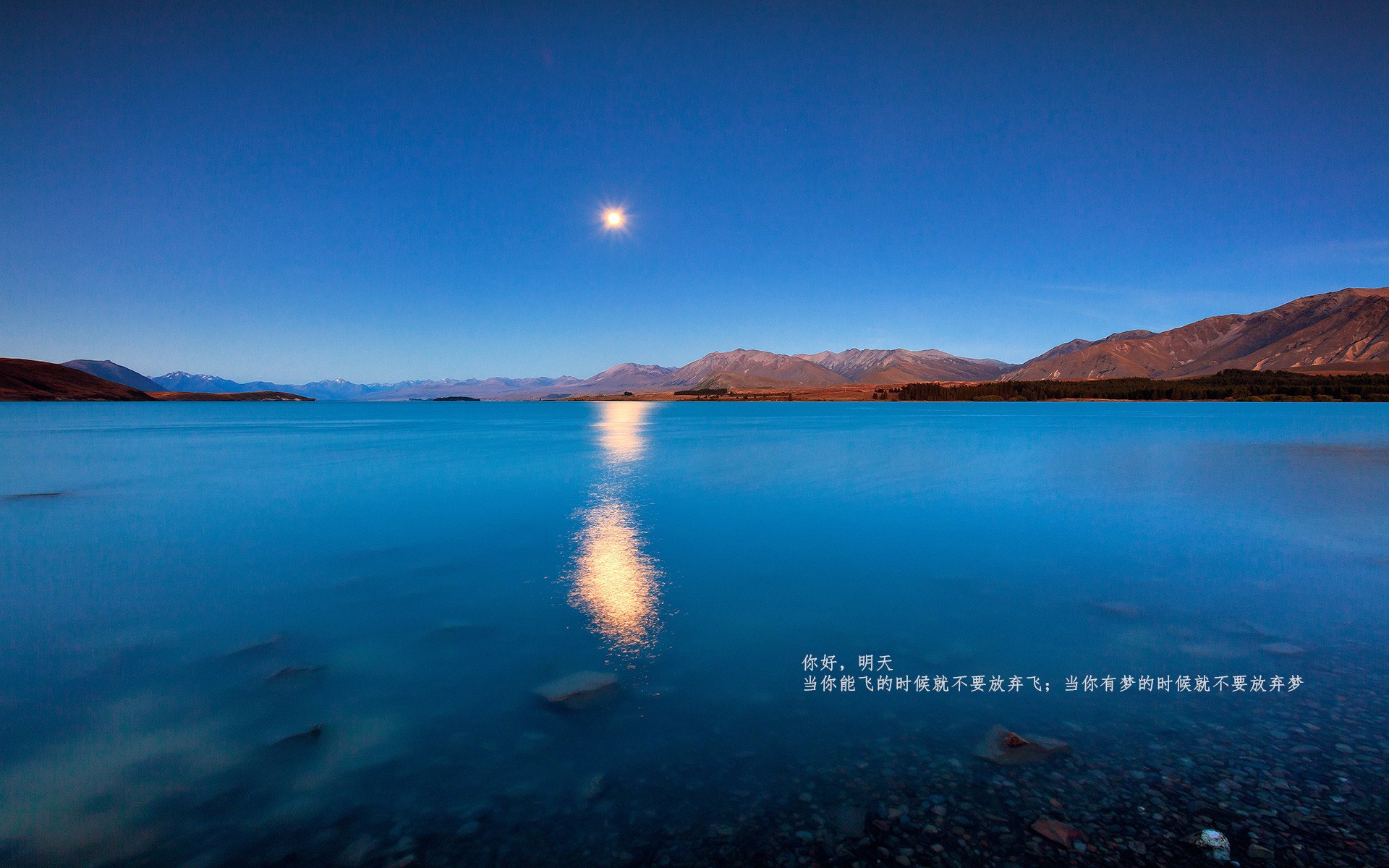 苏炳添百米冲刺再创佳绩,苏炳添百米冲刺成绩