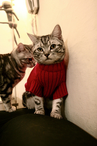 陈艺文发挥出色赢得掌声,陈艺文百度百科